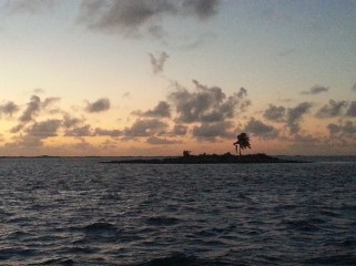 This is more like it