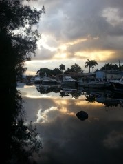 Trash bag on the Maimi River
