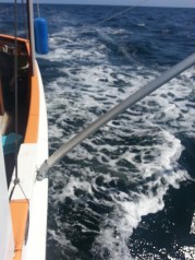 The bent paravane pole