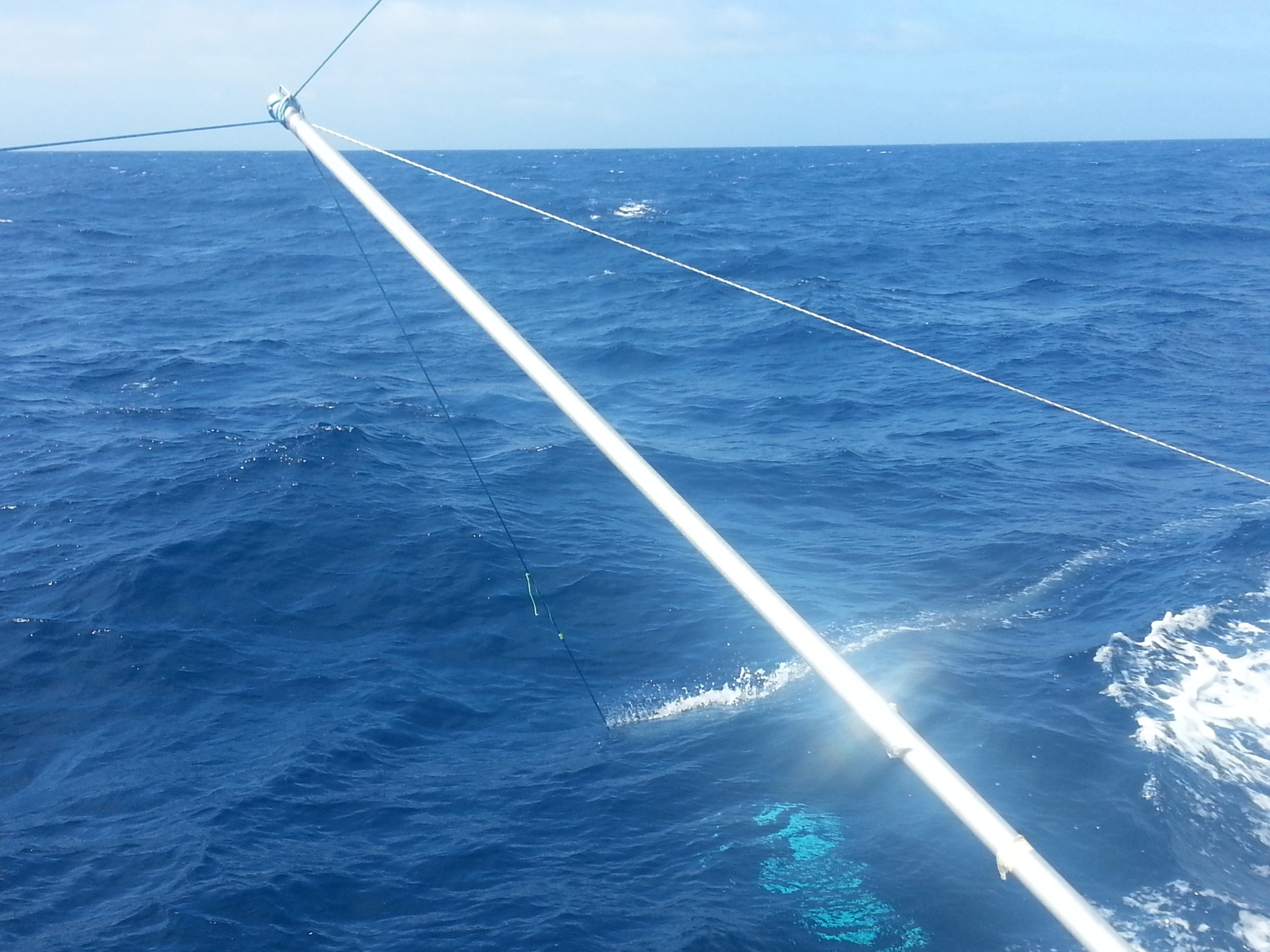 Mid-Atlantic Blue Ocean