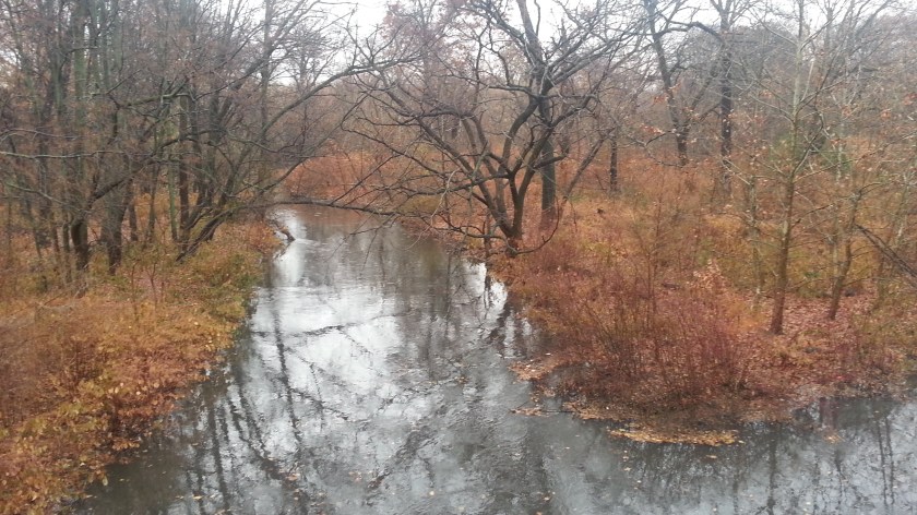 The Bronx River