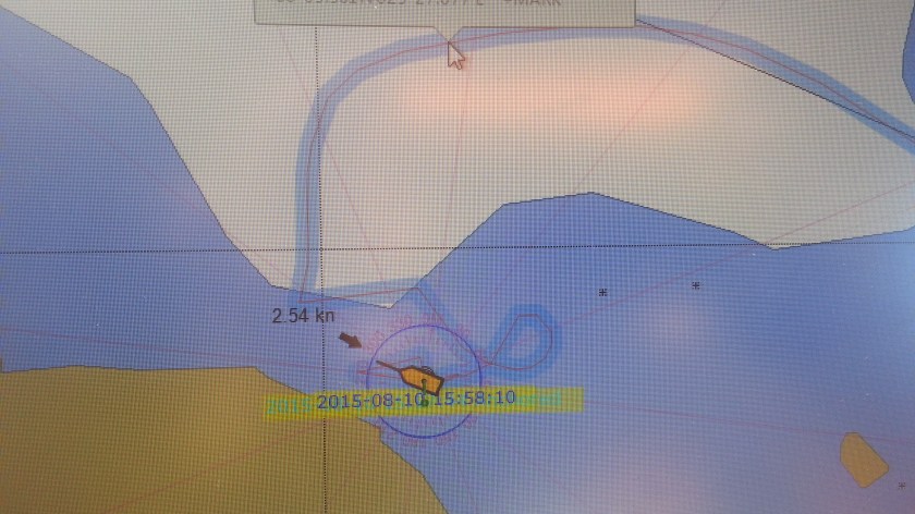 What the Chart Looks like 