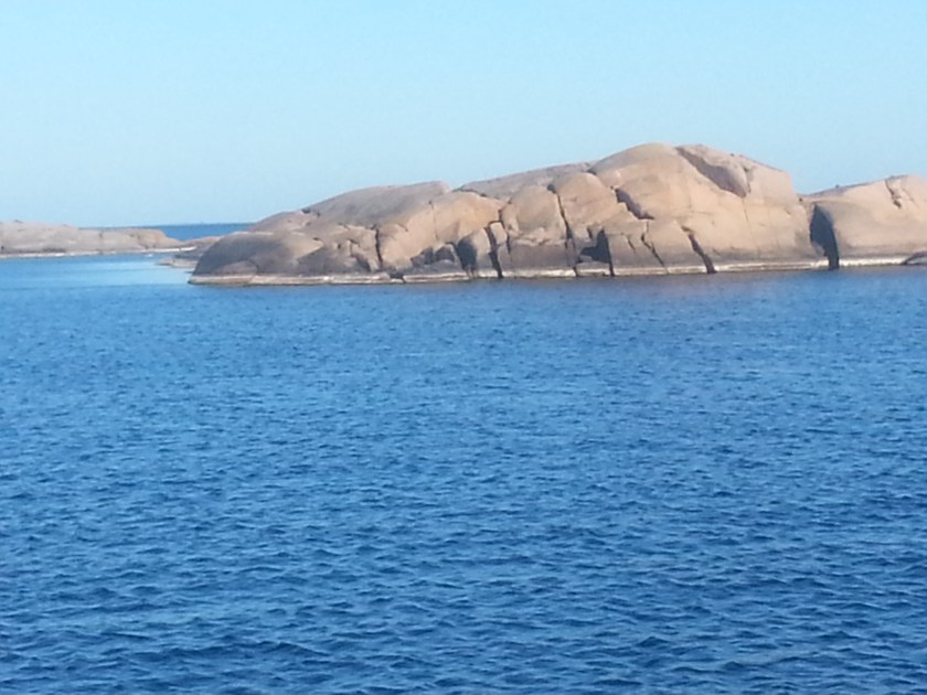 A Rock Island One of many, many, many...