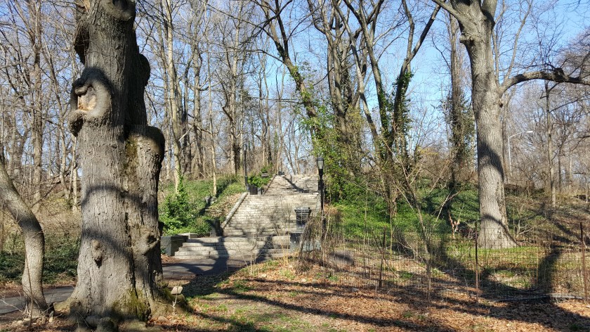 A Walk though Prospect Park for the first time in 15 years.