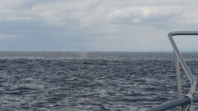 Approaching the shoal area south of Kilmore Quay