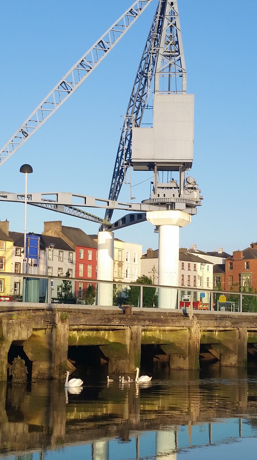 The Waterford Swans on Dawn Patrol
